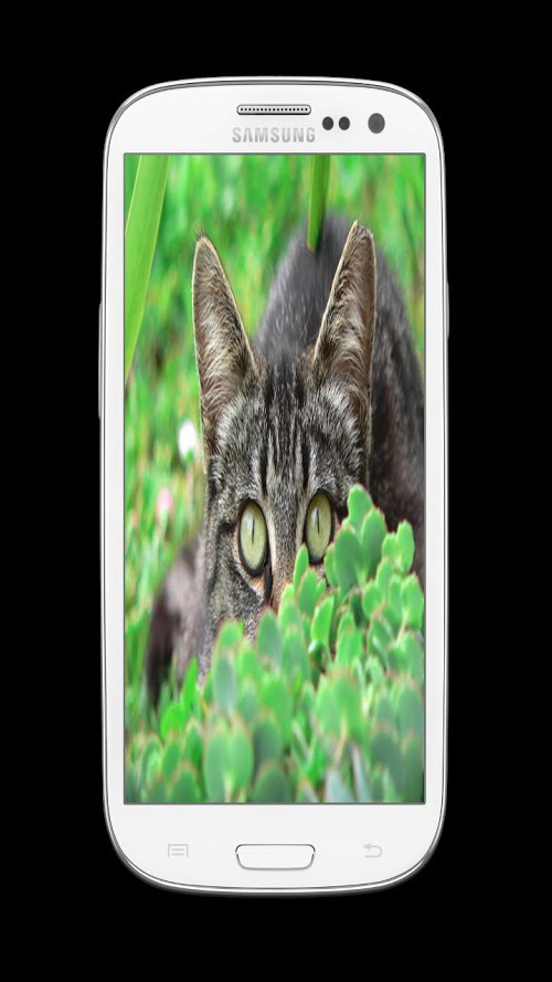 Spy Camera (super) Free Spy Camera (super) Free