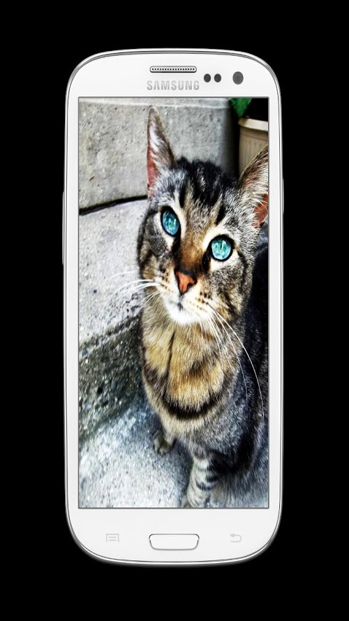 Spy Camera (super) Free Spy Camera (super) Free