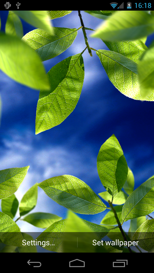 Fresh Leaves