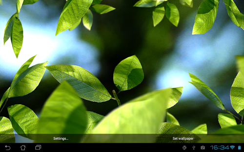 Fresh Leaves