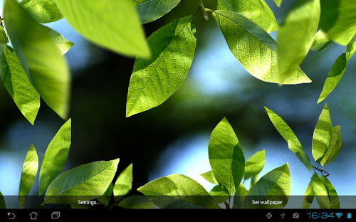 Fresh Leaves