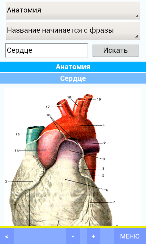 Медицинский справочник