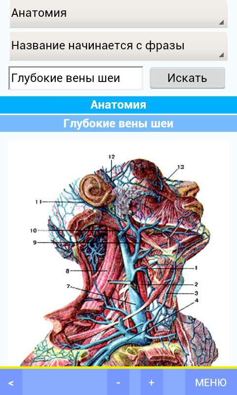 Медицинский справочник