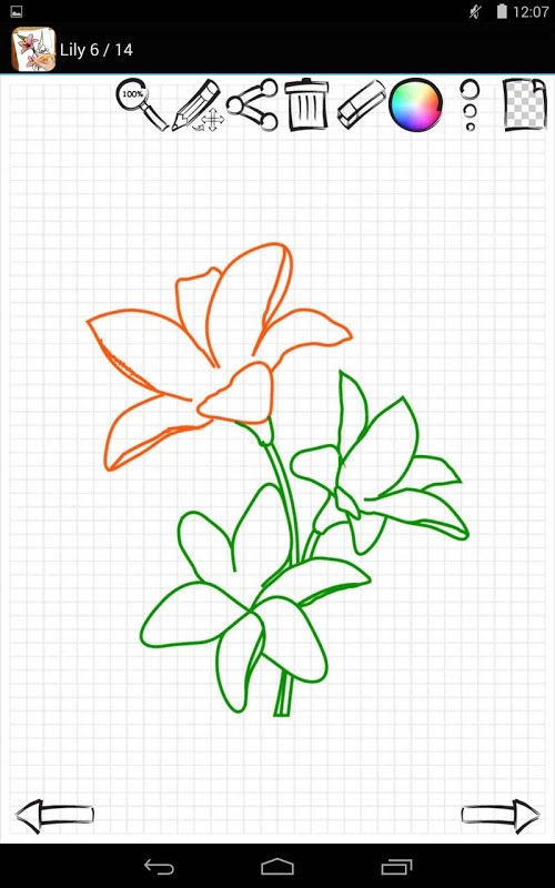 Учимся Рисовать Цветы
